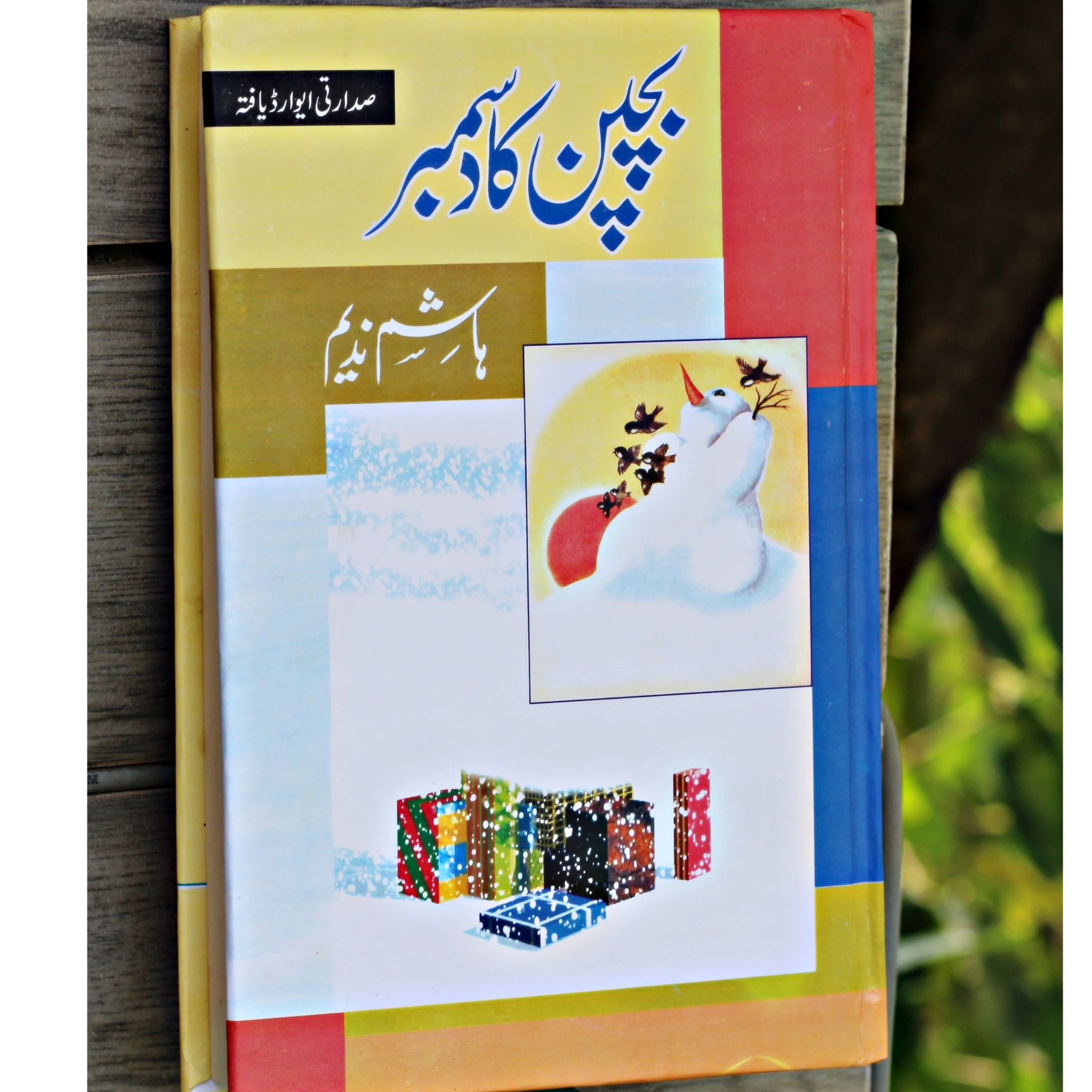 Bachpan Ka December by Hashim Nadeem "بچپن کا دسمبر