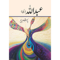 Abdullah / عبداللہ by Hashim Nadeem Complete 3 Parts