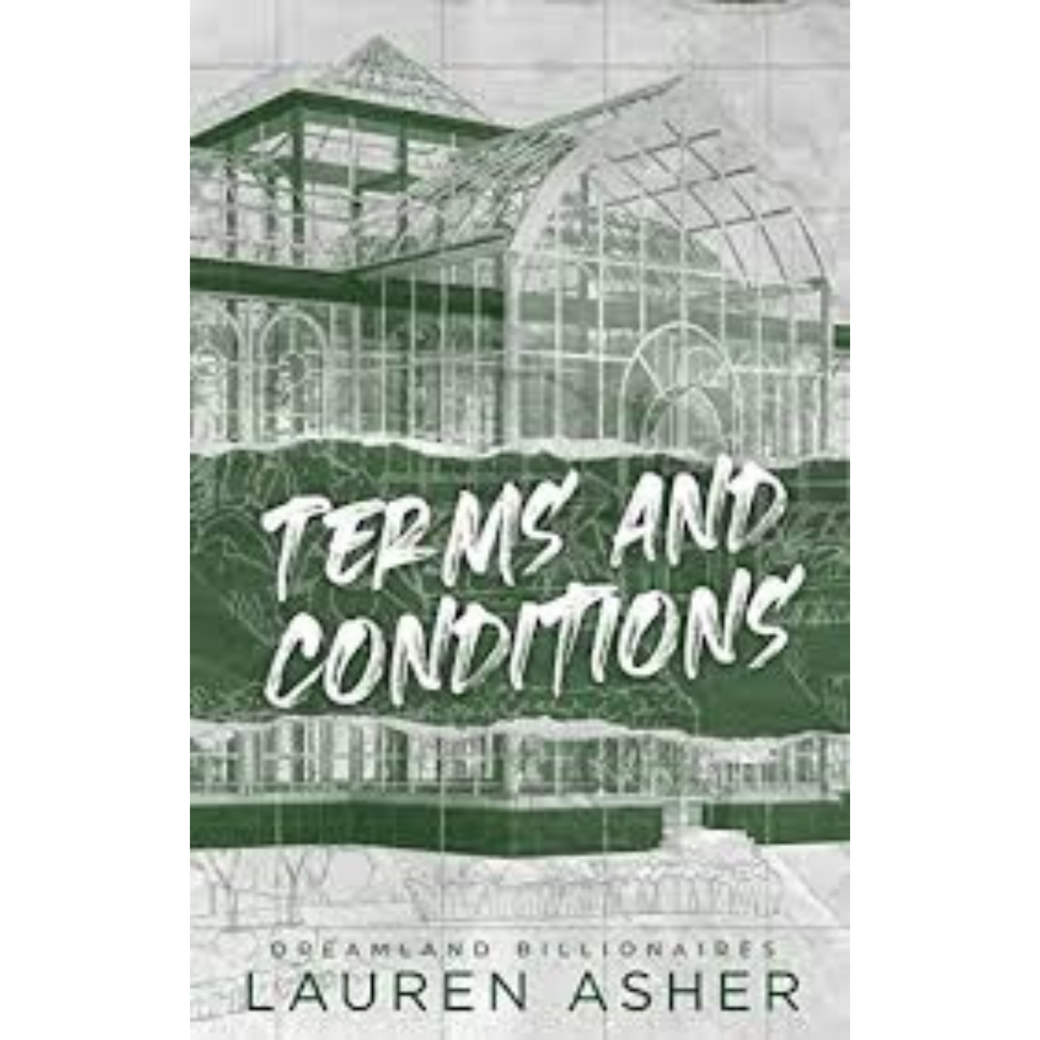 Terms and conditions by Lauren Asher