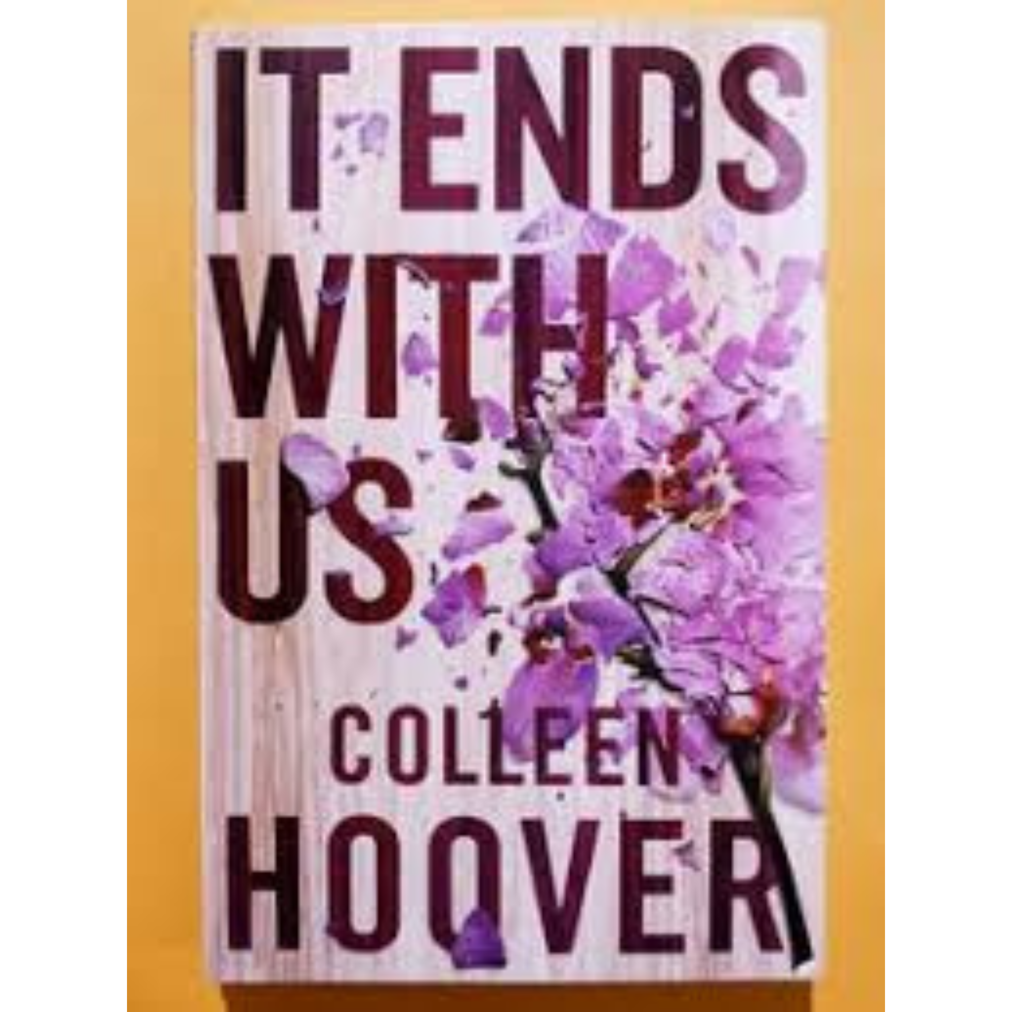 It Ends With Us By Colleen Hoover