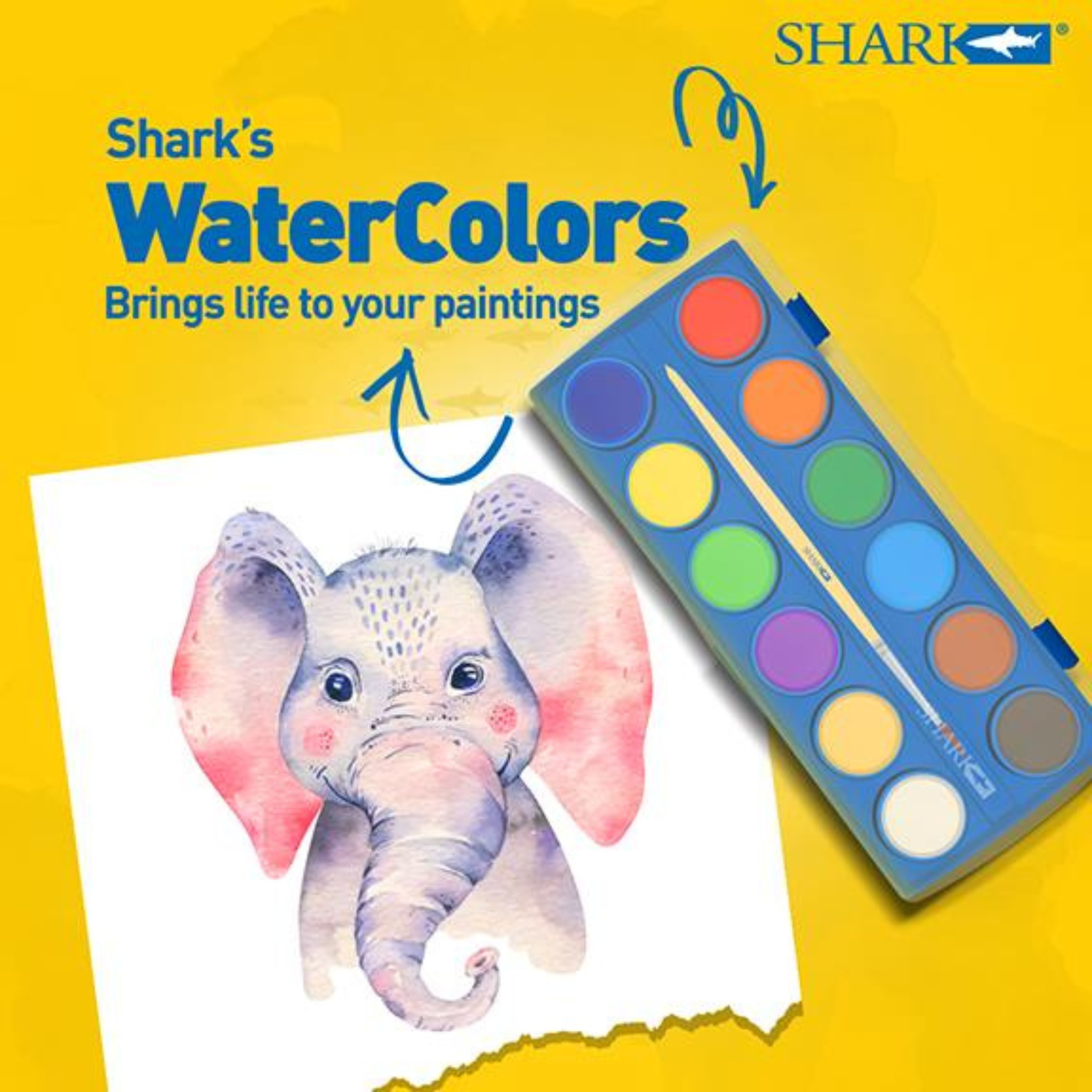 12 Water Colors - No. OC12 - Shark